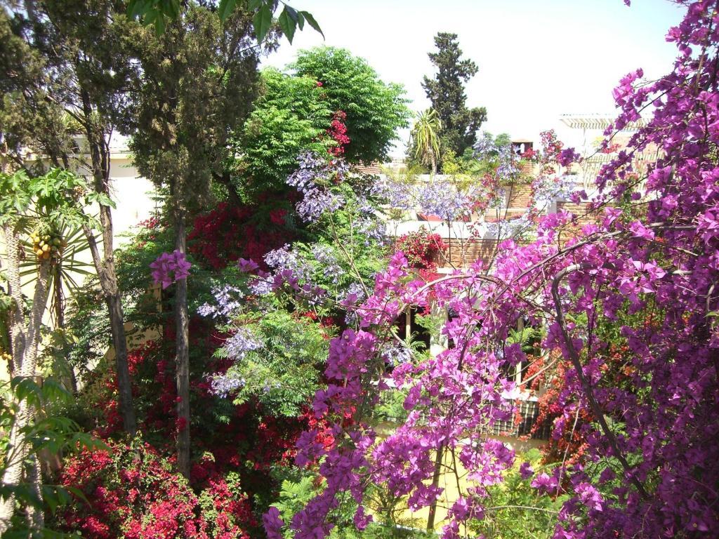 Riad Malika Marrakesch Exterior foto